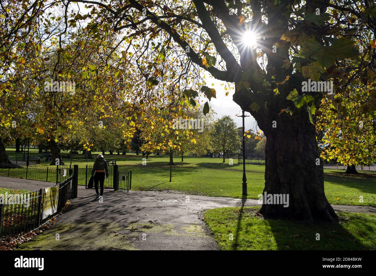 A solitary man walks through afternoon Autumnal sunlight in Ruskin Park, a popular green space in south London, on 26th October 2020, in London, England. Stock Photo