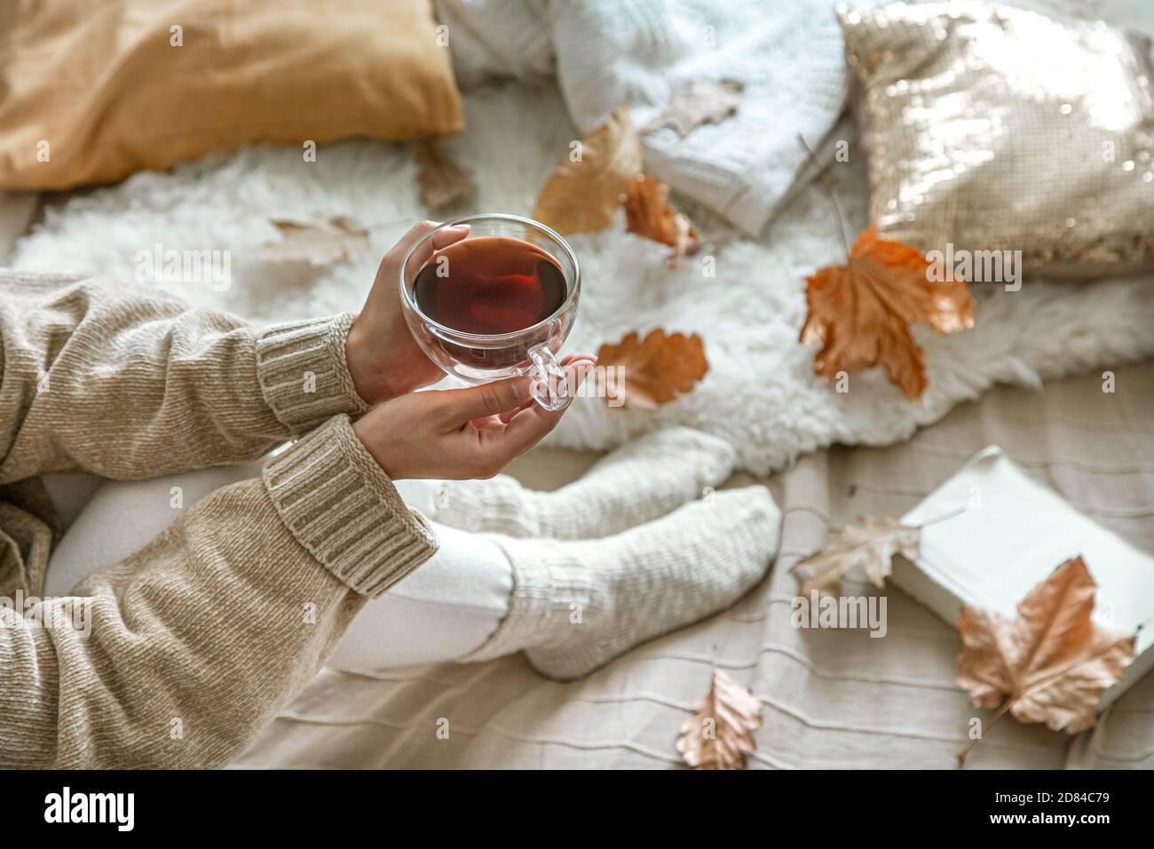 Cozy autumn at home, a woman with tea and a book resting. A cozy way of ...