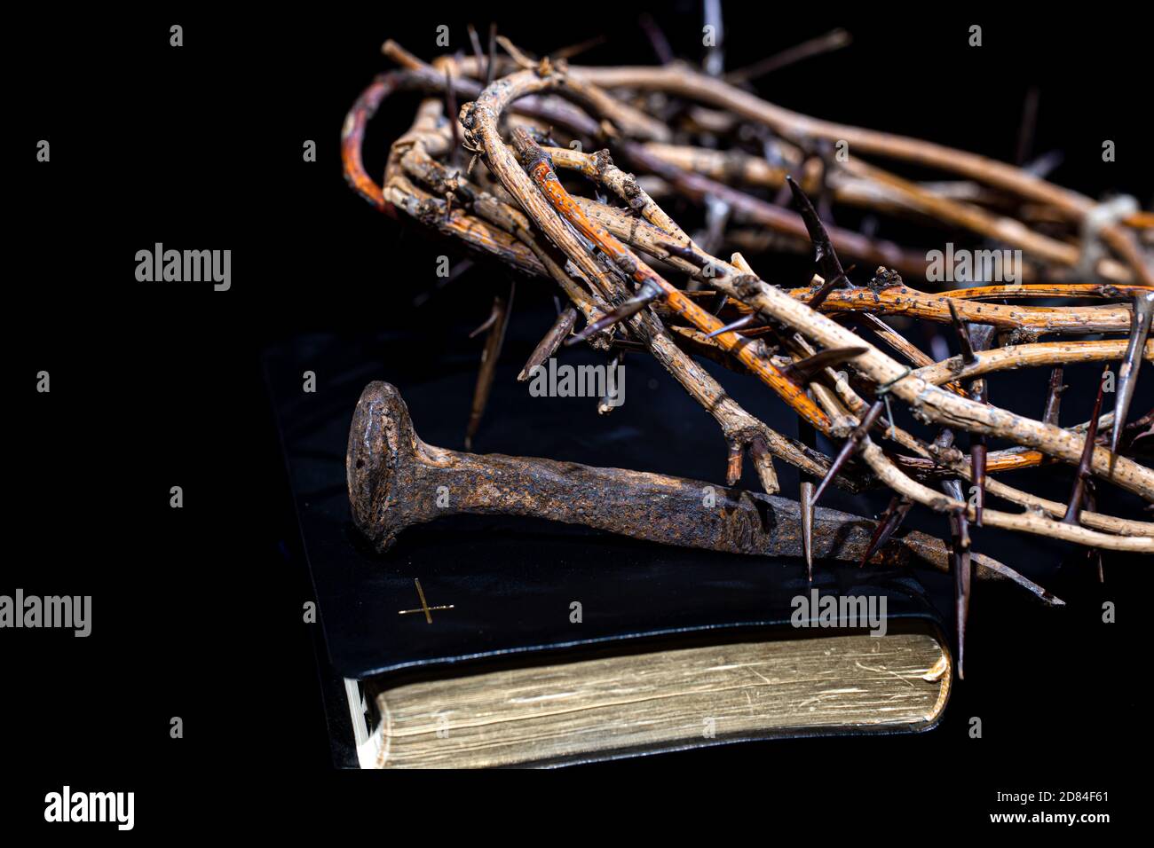 A crown of thorns and an old rusty nail lie on a closed book of the