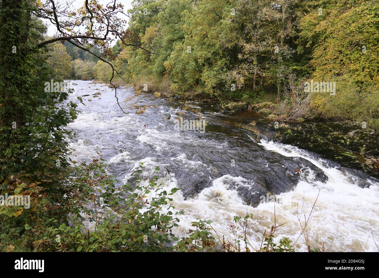 River Irfon near Caer Beris Manor Hotel, Builth Wells, Brecknockshire, Powys, Wales, Great Britain, United Kingdom, UK, Europe Stock Photo