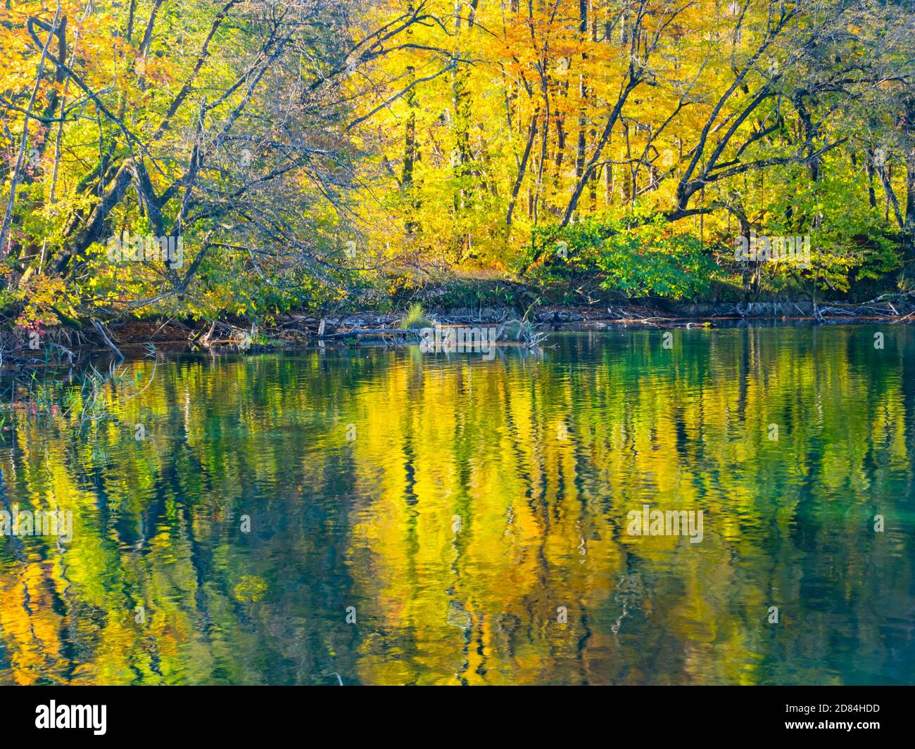 Lake coast reflection Autumnal scenery in Plitvice lakes national park situated in Croatia Europe Stock Photo
