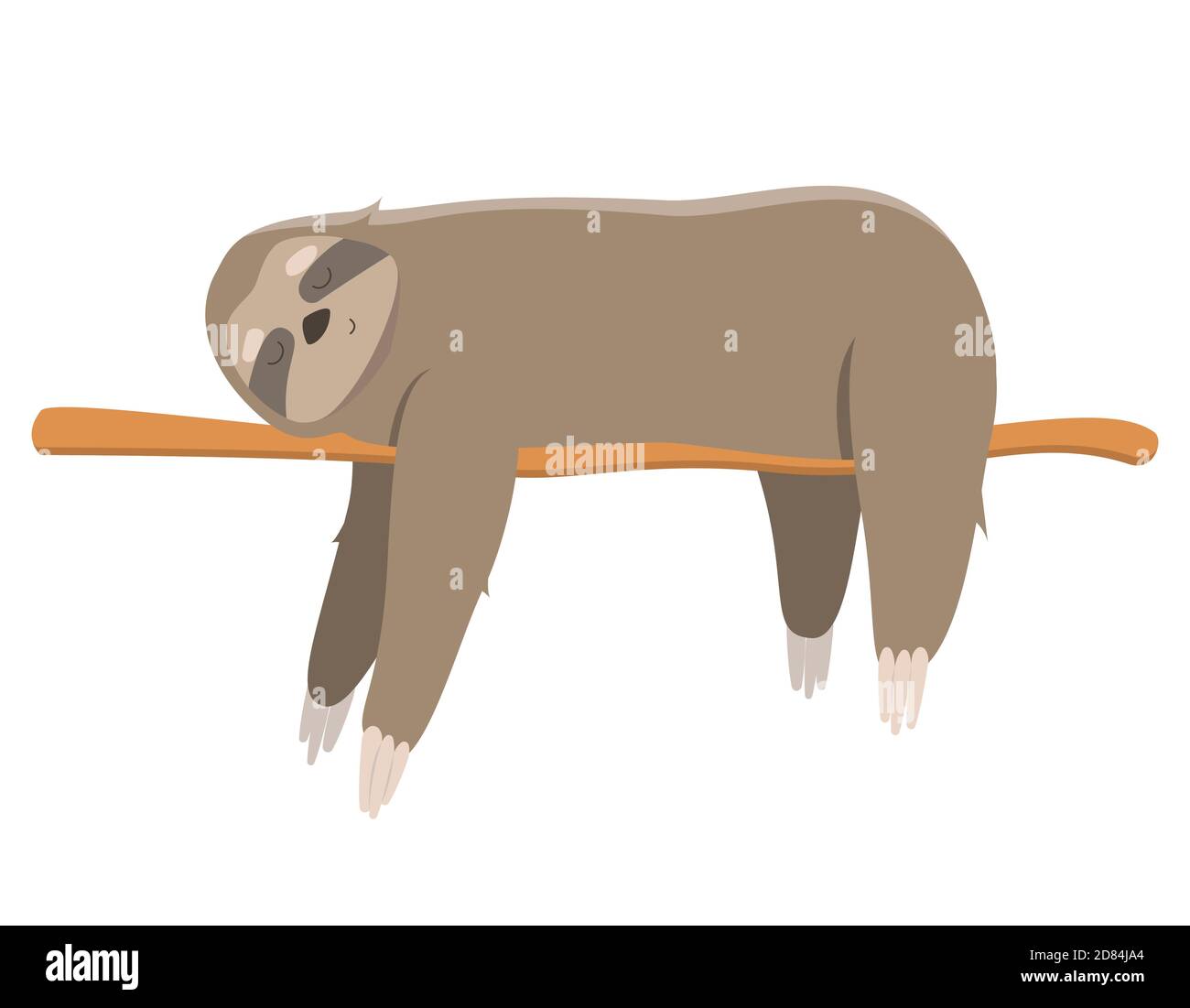 Sloth sleeping on branch. Vector illustration in cartoon style isolated on white background. Stock Vector
