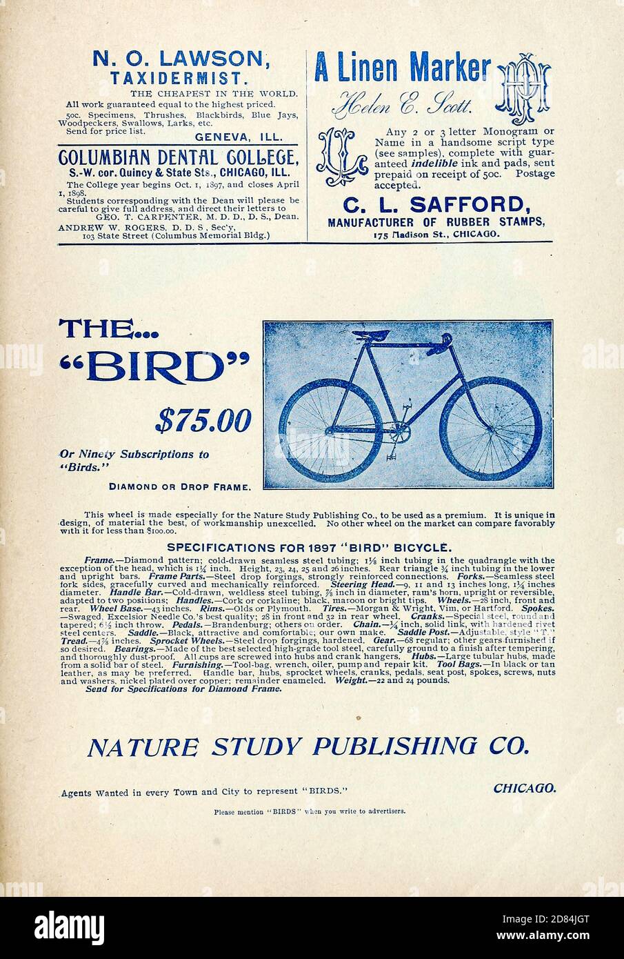 Ad for the Bird Bicycle Appeared in a monthly magazine called 'Birds : illustrated by color photography' a monthly serial. Knowledge of Bird-life in 1897. Stock Photo