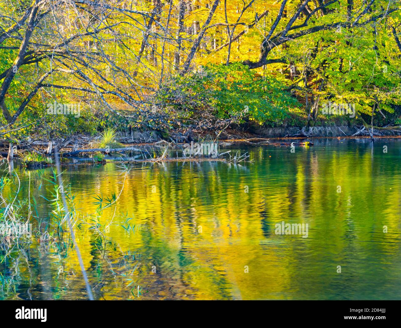 Lake coast reflection Autumnal scenery in Plitvice lakes national park situated in Croatia Europe Stock Photo