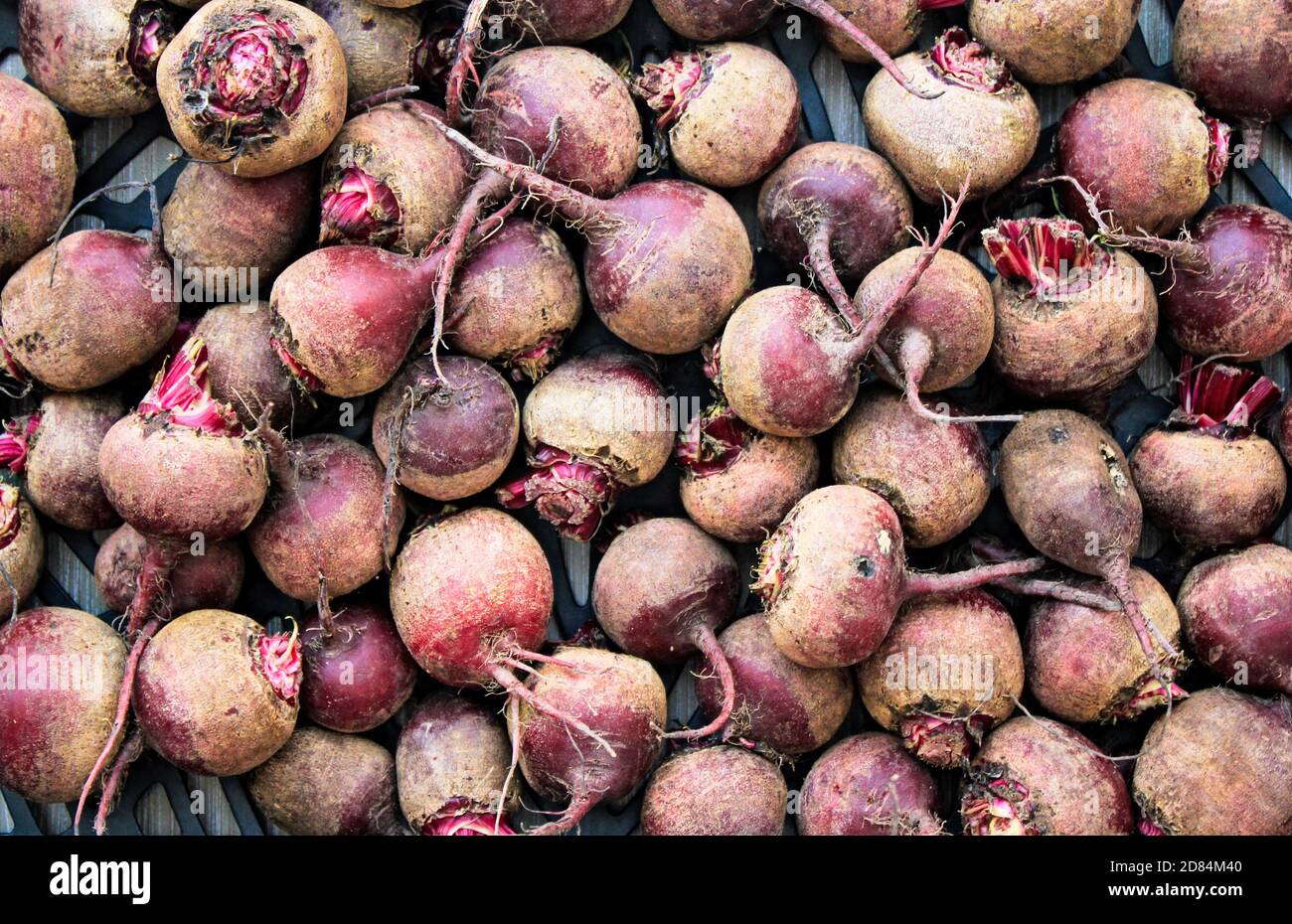 Beetroots on a market stall Stock Photo