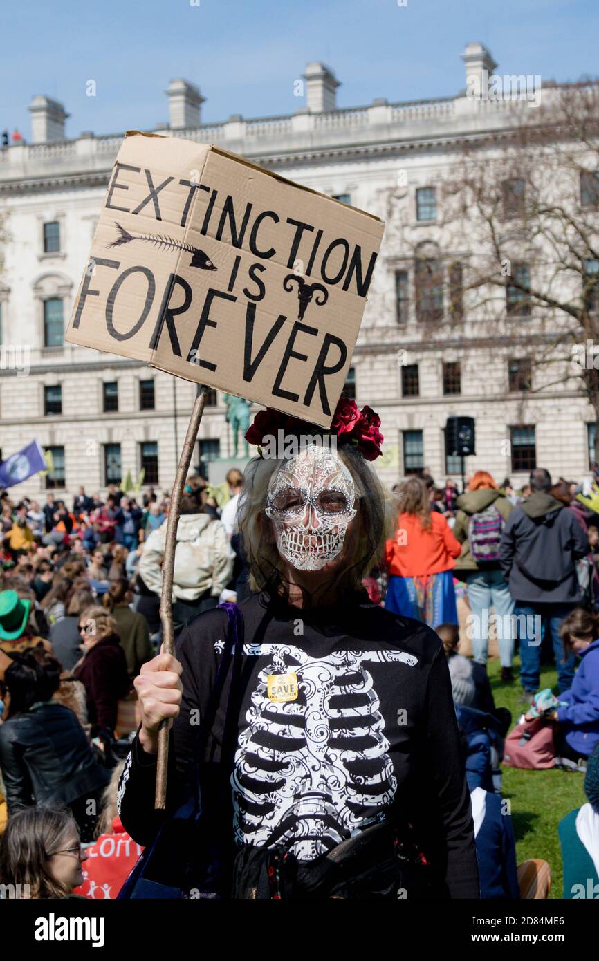 London, United Kingdom, 15th April 2019:- Extinction Rebellion protesters in Parliament Square, proesting biodiversity loss Stock Photo