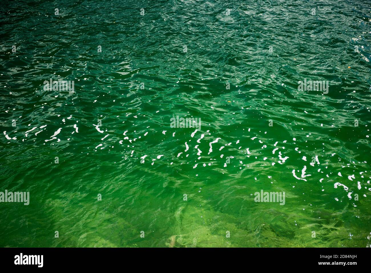Plansee, Reutte, Tirol, Austria Stock Photo