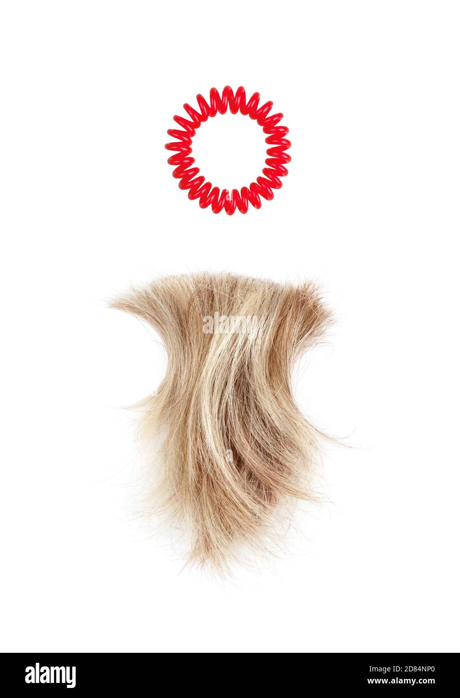 Blond hair lock, red scrunchy white background isolated closeup, cut off blonde curl, spiral elastic scrunchie, flexible hair band barrette, hair snip Stock Photo