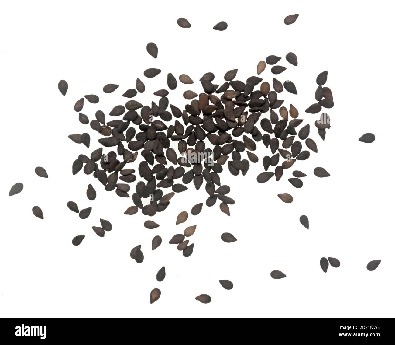 Black sesame isolated on white background Stock Photo - Alamy