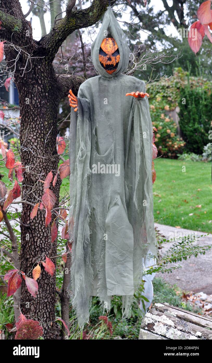 An Apparition with a Pumpkin head hanging from a tree Stock Photo - Alamy