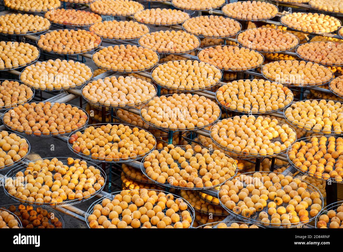 Making process of sun exposuring drying peeled dried persimmon in a