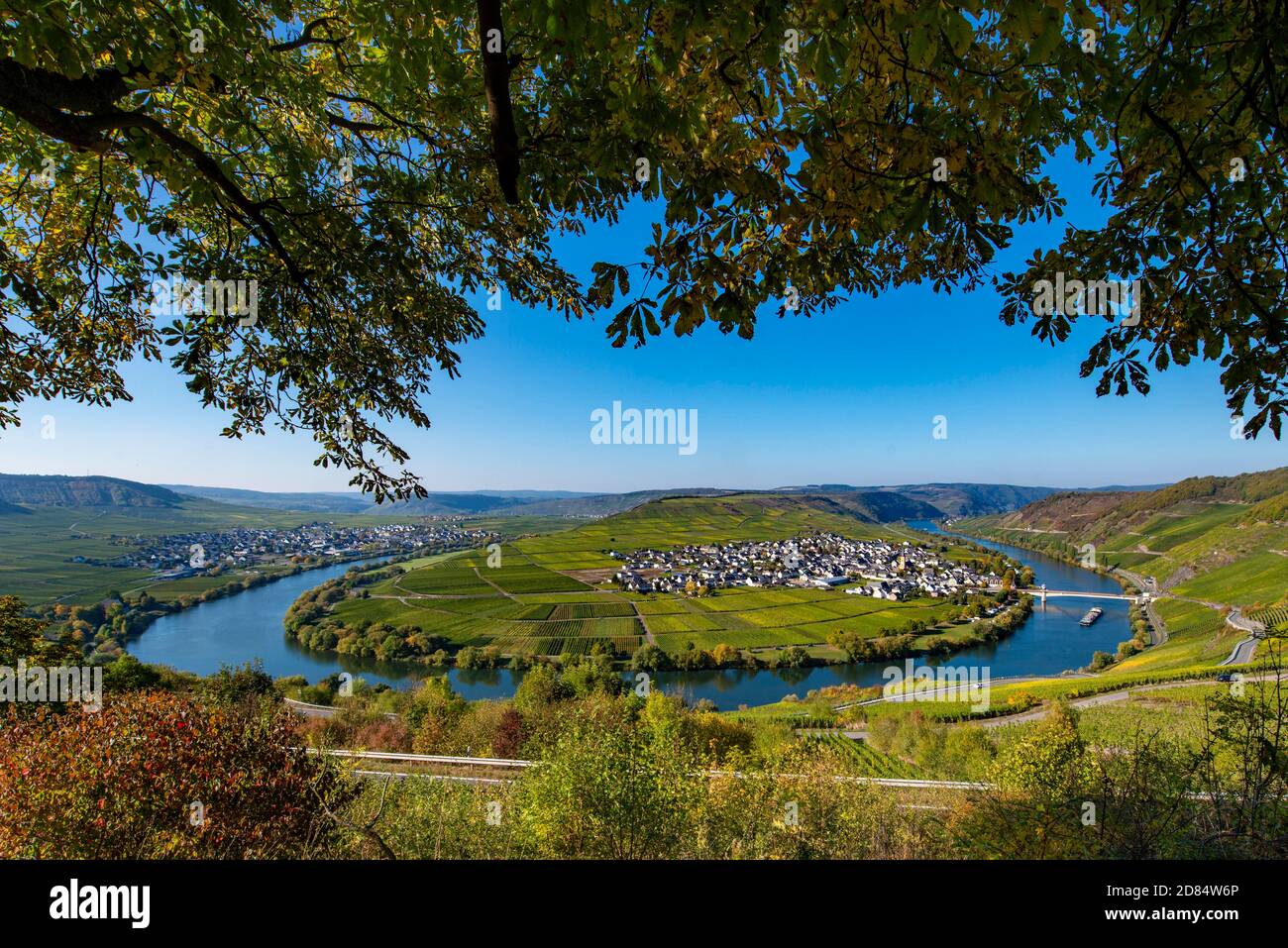 GERMANY, Mosel River, he view from Zumethof across the river bend  towards Trittenheim is one of the most spectacular sights along the river Moselle Stock Photo