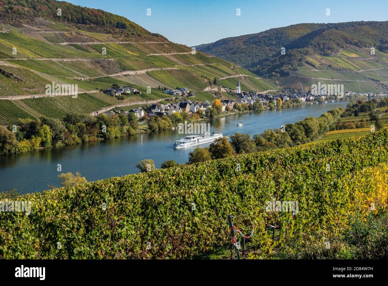 GERMANY, Mosel River. Wine growing is the dominant agriculture along the Mosel Valley like here around Merl Stock Photo