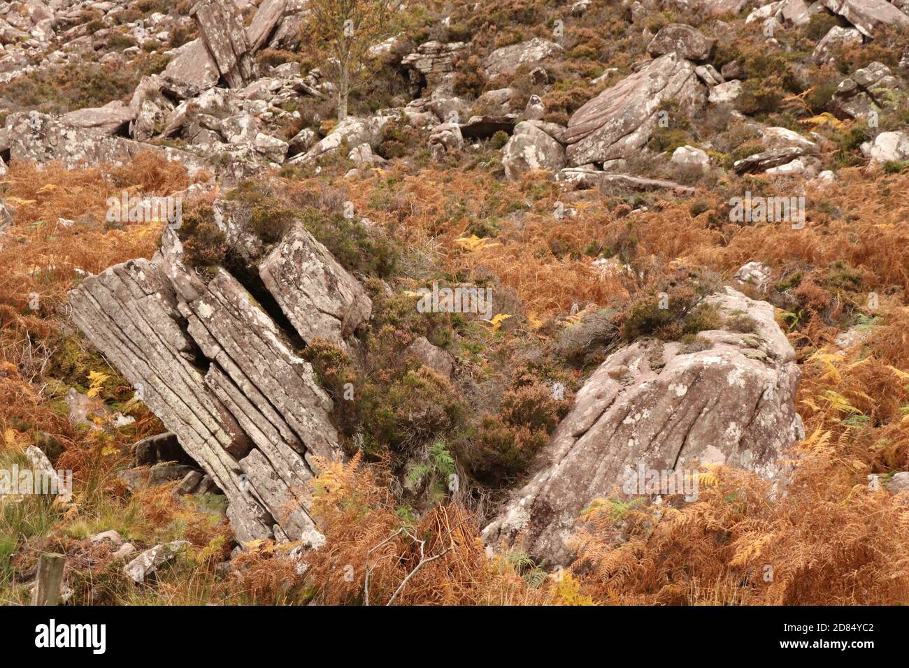 Highland Banded Rocks Boulders in Scottish highlands Stock Photo - Alamy