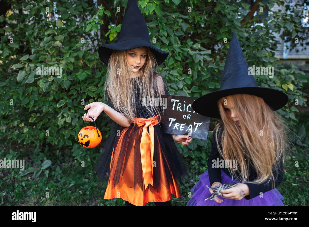 Two little girls in witch costumes having fun on Halloween. Trick or treat  Stock Photo - Alamy