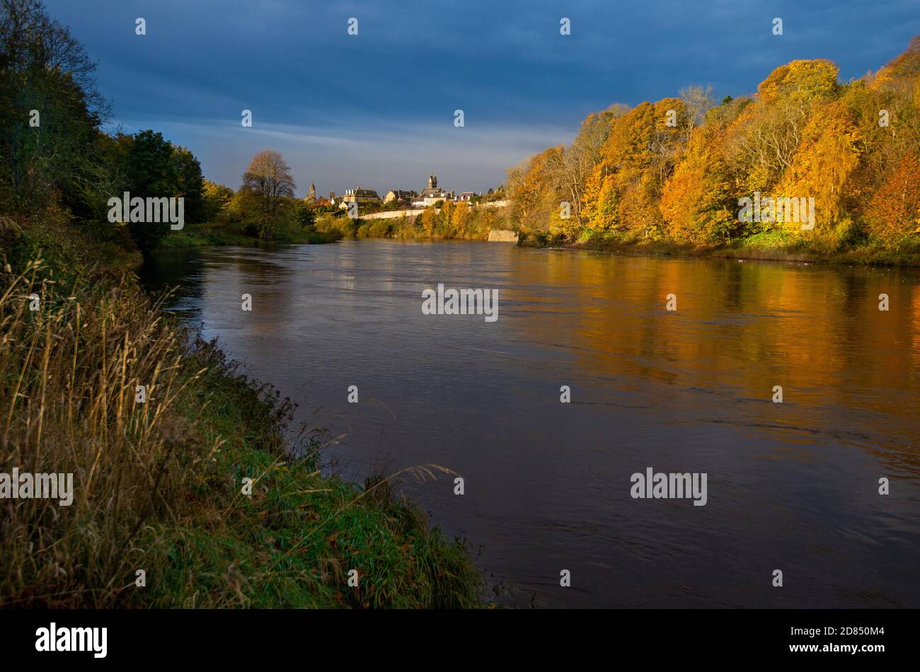 Autumn colours at Coldstream beside the River Tweed on the Scottish Border from where the Coldstream Guards take their name. Coldstream, Scotland, UK Stock Photo