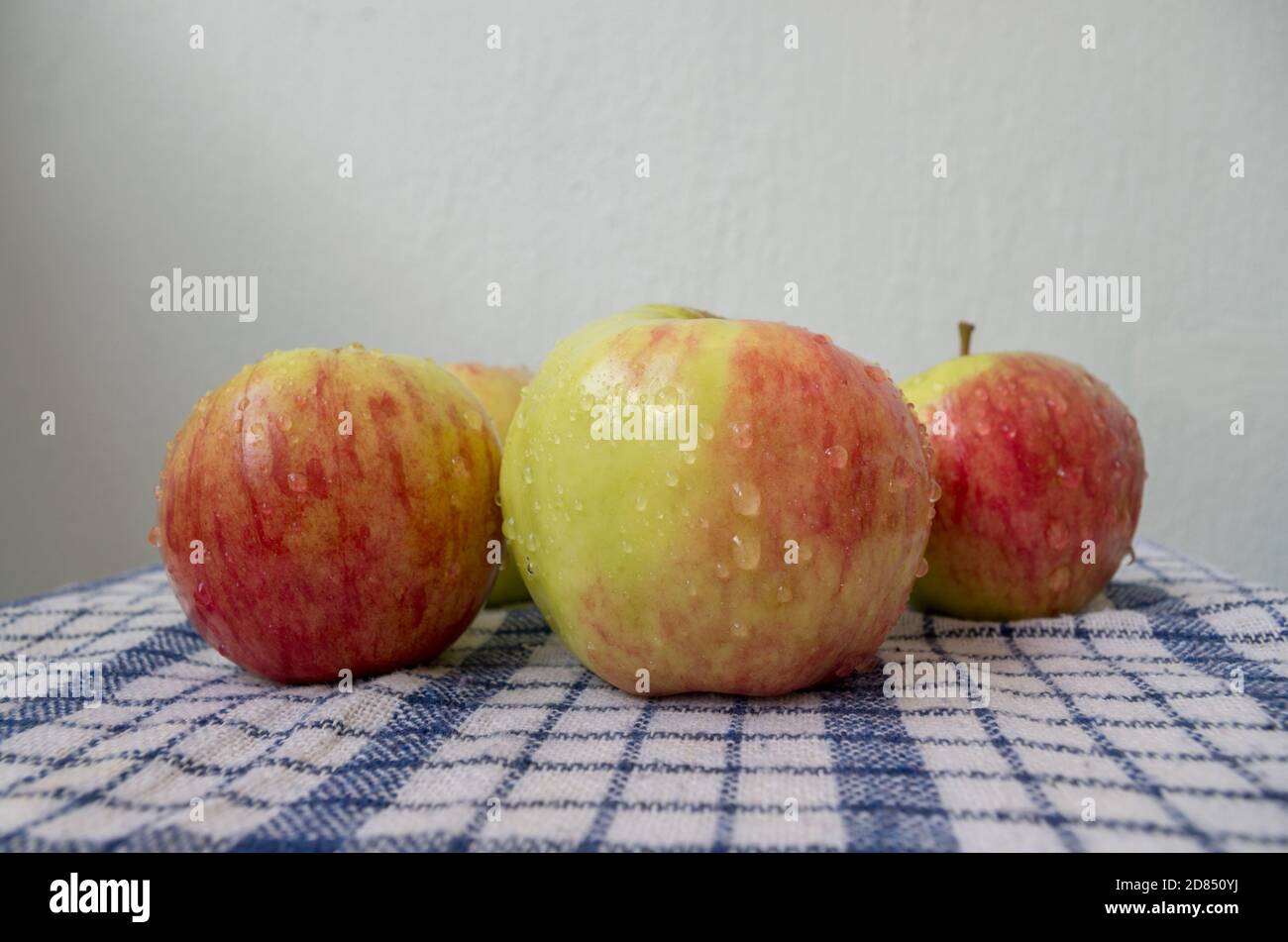 Pile of washed red-green apples, with water drops on peel, lying picturesquely on white waffle fabric tablecloth checkered with blue color stripes. Stock Photo