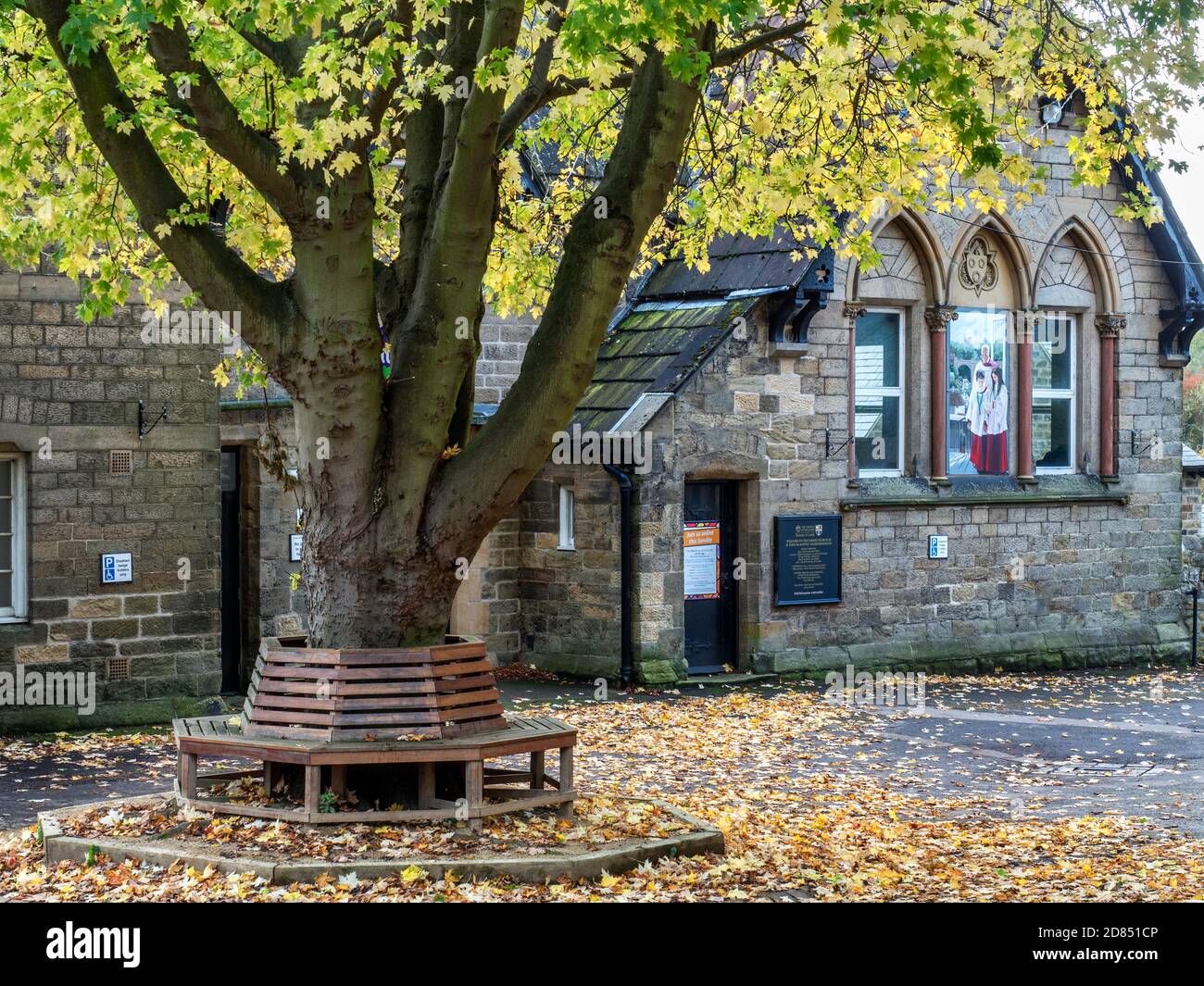 Seat under an autumnal tree surrounded by fallen leaves at St Johns Church Hall Knaresborough North Yorkshire England Stock Photo