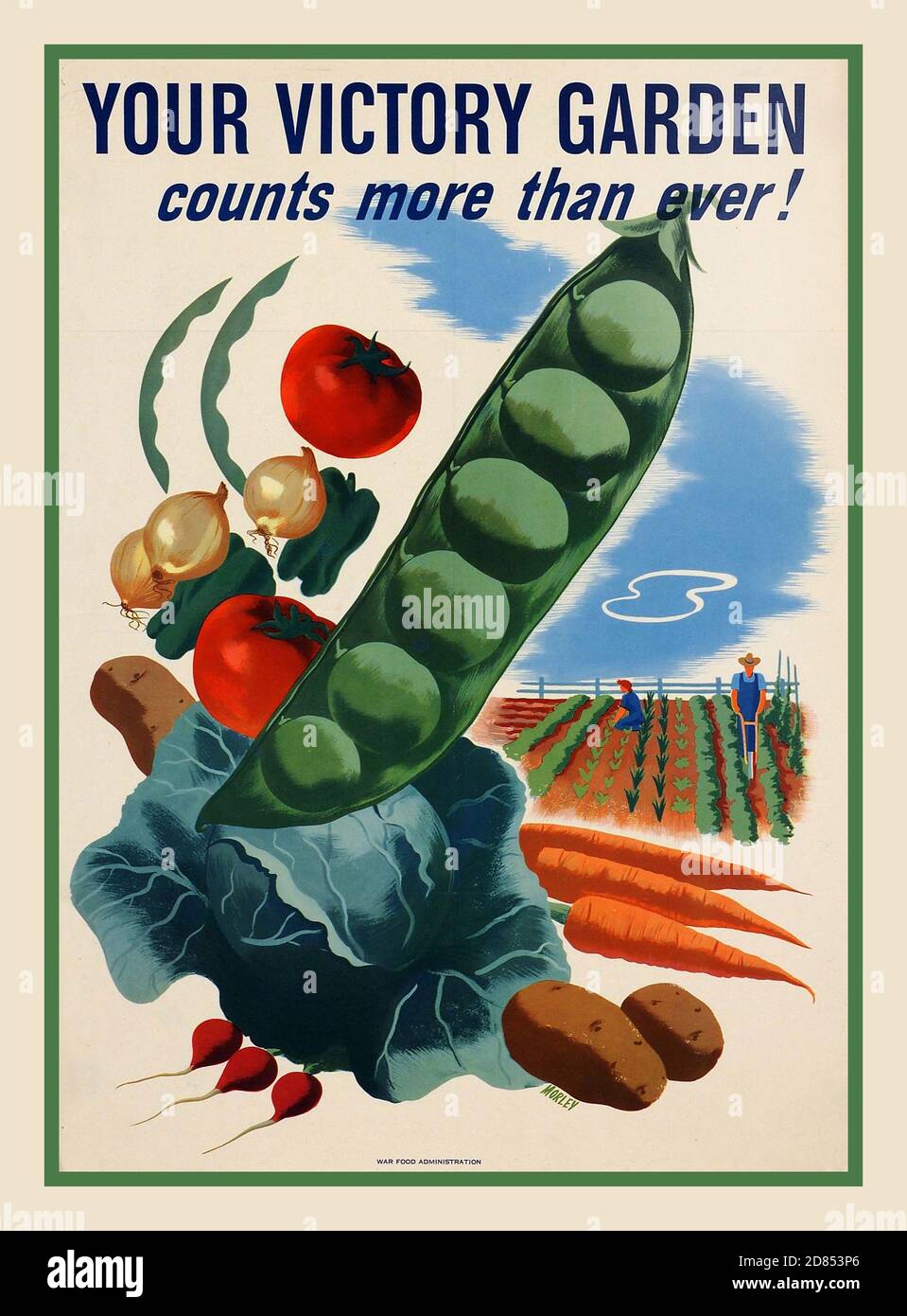 Vintage WW2 VICTORY GARDEN Propaganda Homeland Food growing producing poster YOUR VICTORY GARDEN COUNTS MORE THAN EVER! (MORLEY) 1940s During World War II, as an alternative to rationing, Americans planted “victory gardens,” in which they grew their own food. By 1945, some 20 million such gardens were in use and accounted for about 40 percent of all vegetables consumed in the U.S. Stock Photo