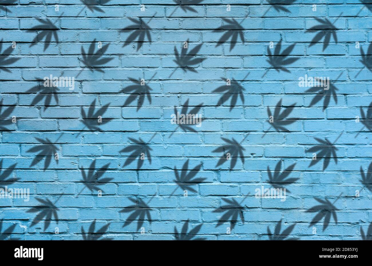 Silhouette of Hemp or cannabis leaves seamless pattern. Close up of Cannabis leaves Silhouette on blue brick wall background Stock Photo