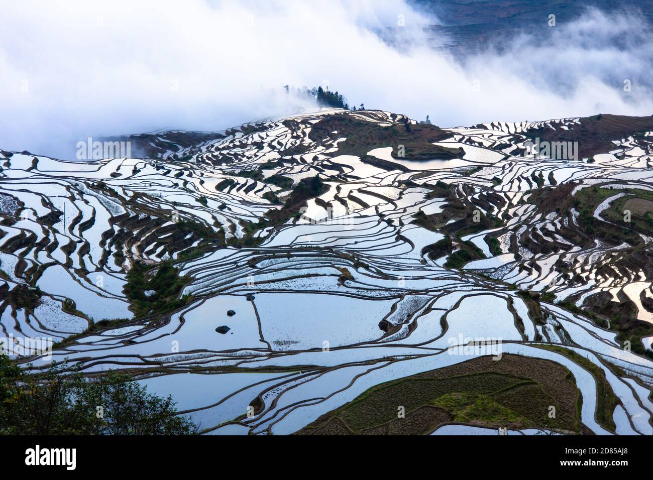 Yuan Yang Rice Terrace in China, Largest Rice Terrace in the World, World Heritage Site is in Yunnan Province Stock Photo