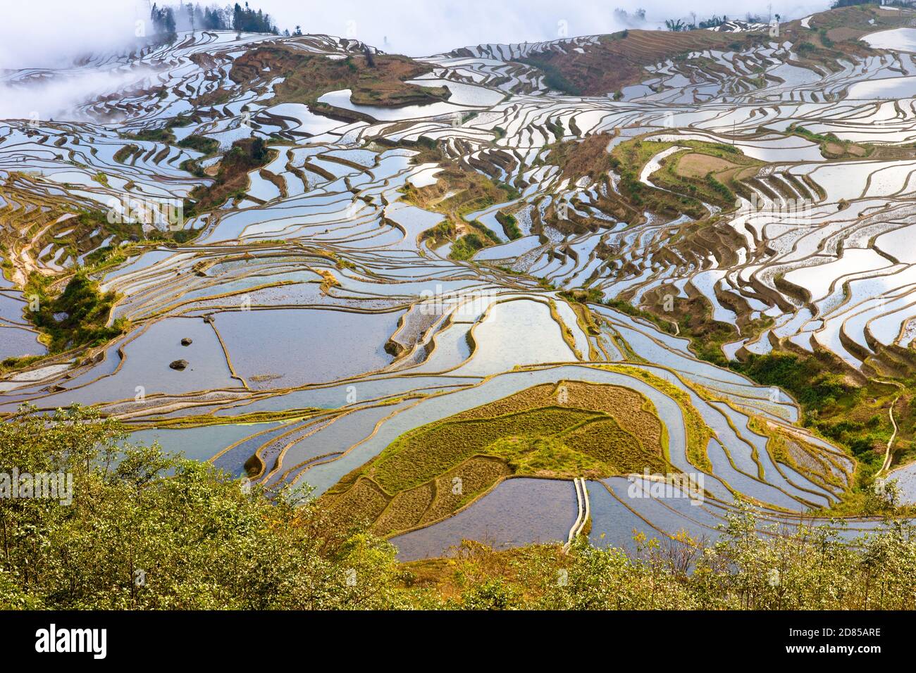Largest rice terrace in the world hi-res stock photography and images ...
