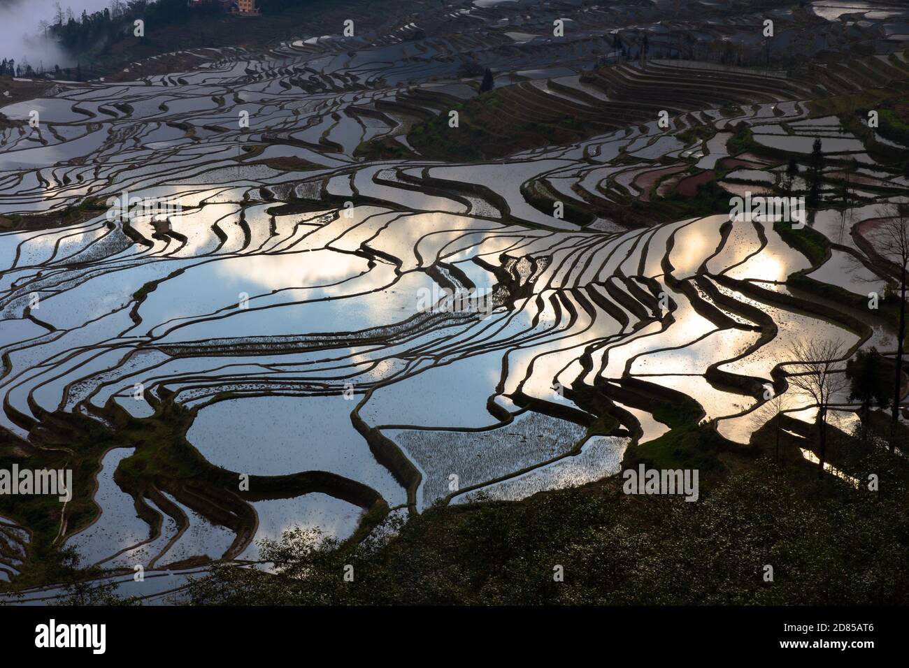 Yuan Yang Rice Terrace in China, Largest Rice Terrace in the World, World Heritage Site is in Yunnan Province Stock Photo