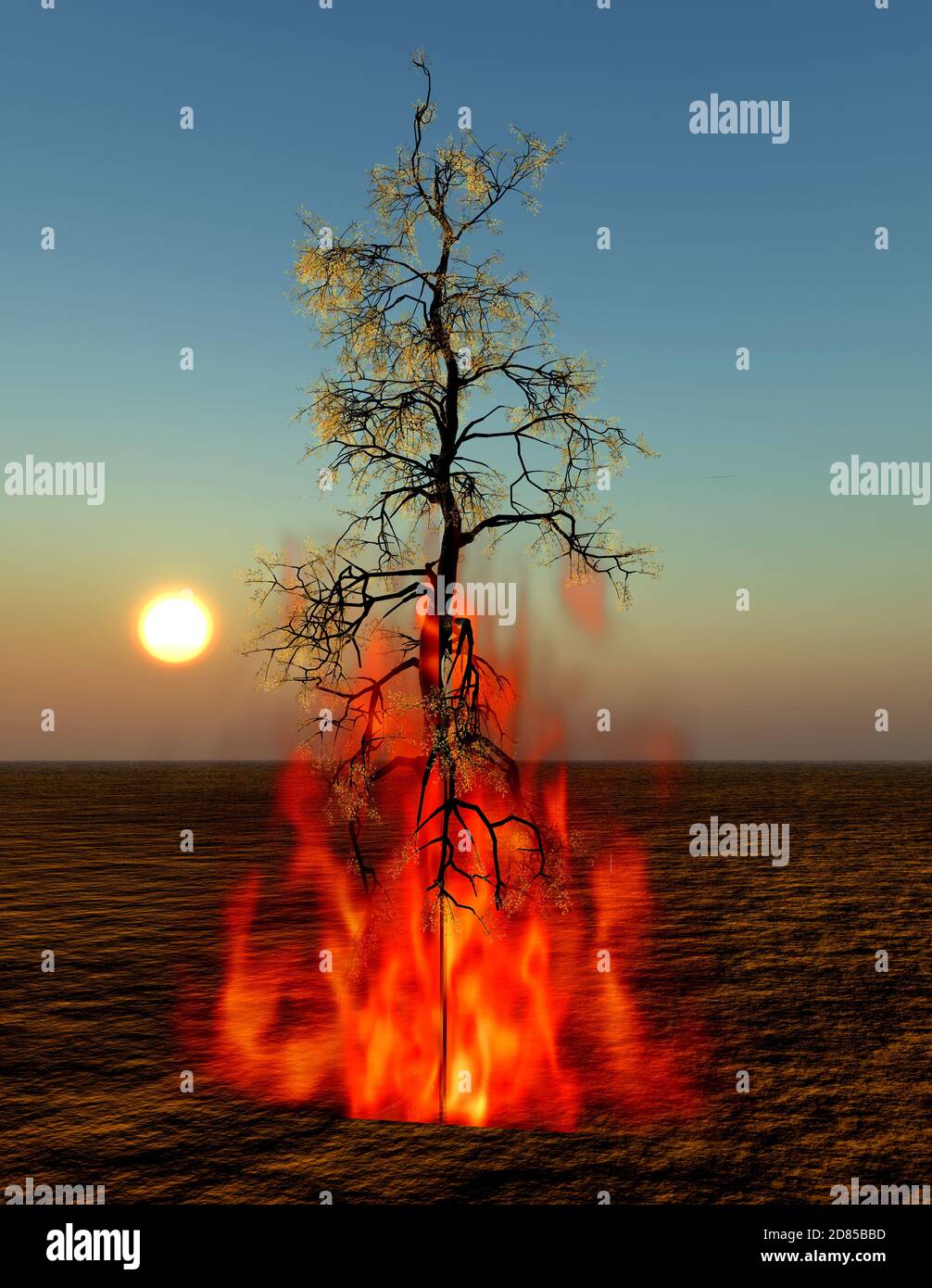 Tree On Fire Stock Photo - Alamy