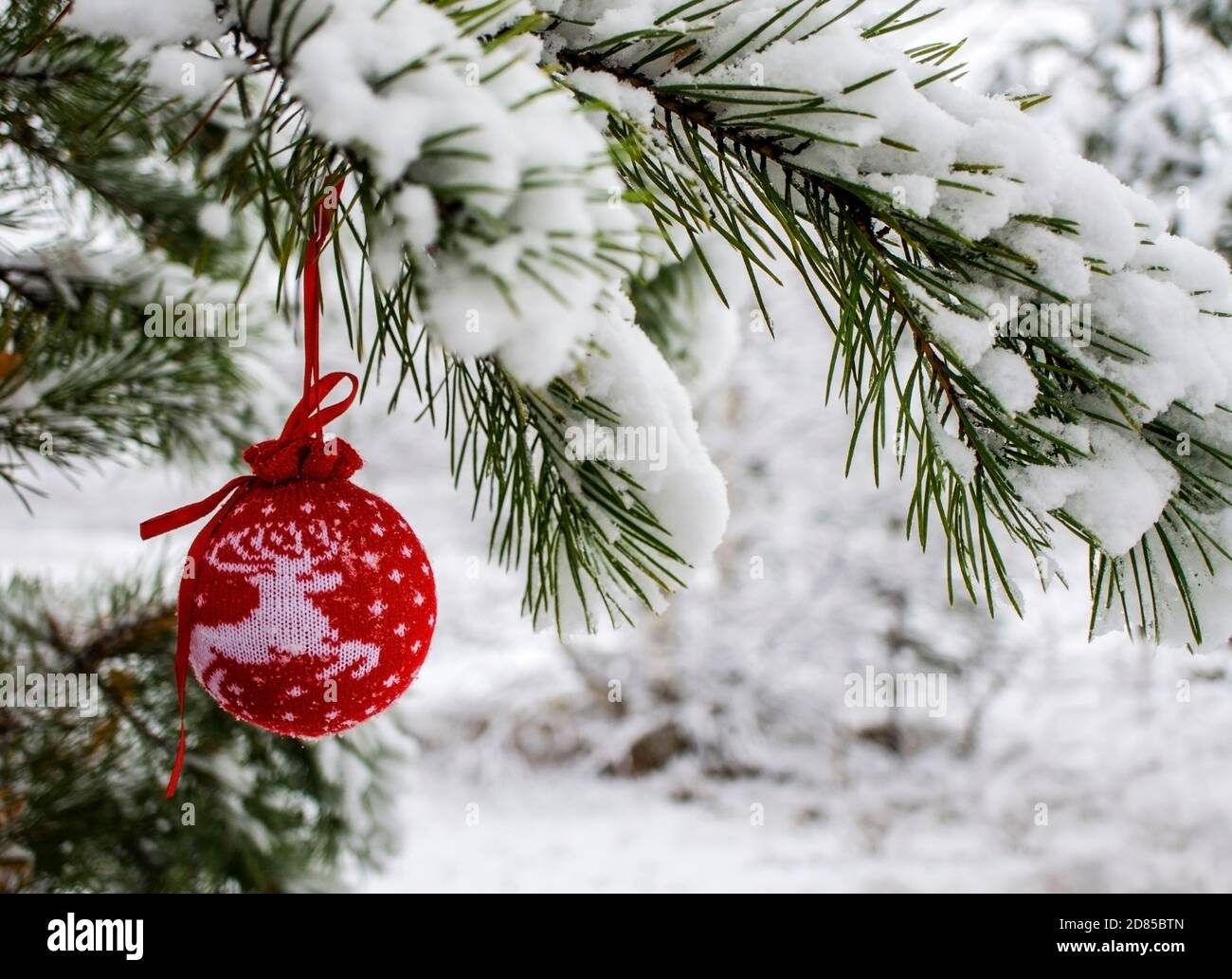 Christmas background with a red knitted Christmas ball with deer on a snow-covered pine branch in winter forest with copy space. New year holiday, Chr Stock Photo
