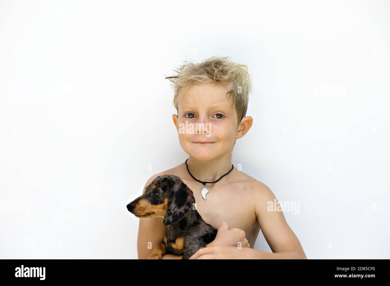Funny portrait of little child embracing dachshund puppy after outdoor  playing. White background. Popular dog breeds, outdoor activity and fun  games w Stock Photo - Alamy
