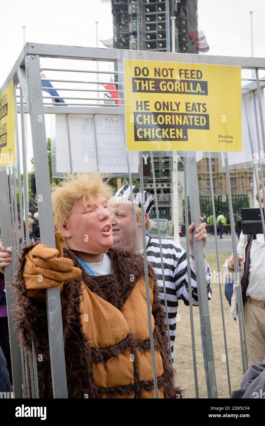 London, United Kingdom, June 4th 2019:- A protester dressed as Donald Trunp in a cage in Parliament Square Stock Photo