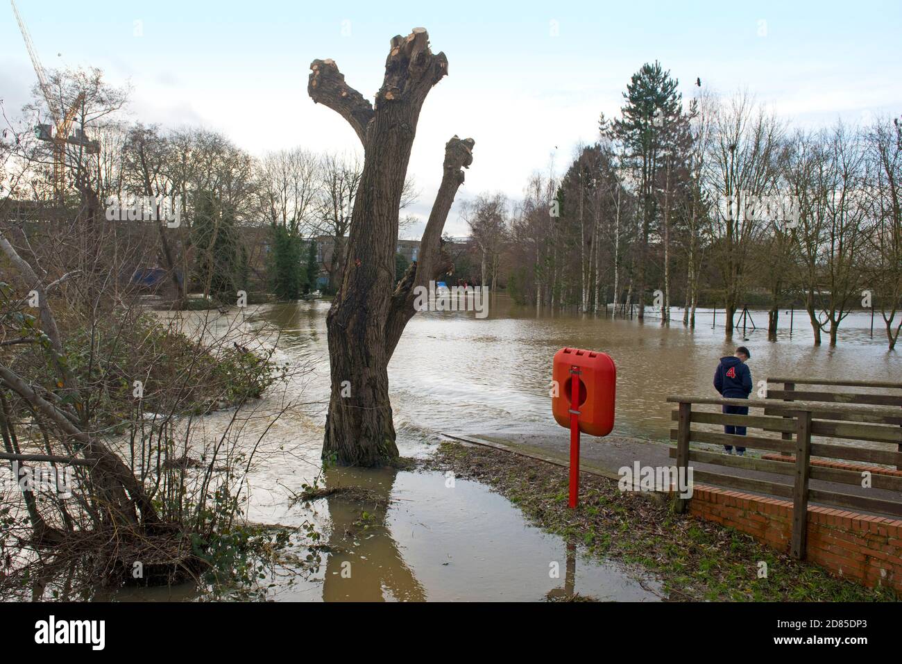 A child looks at the flooded footpath and sportsground following flooding of the River Medway in Tonbridge, Kent, UK Stock Photo