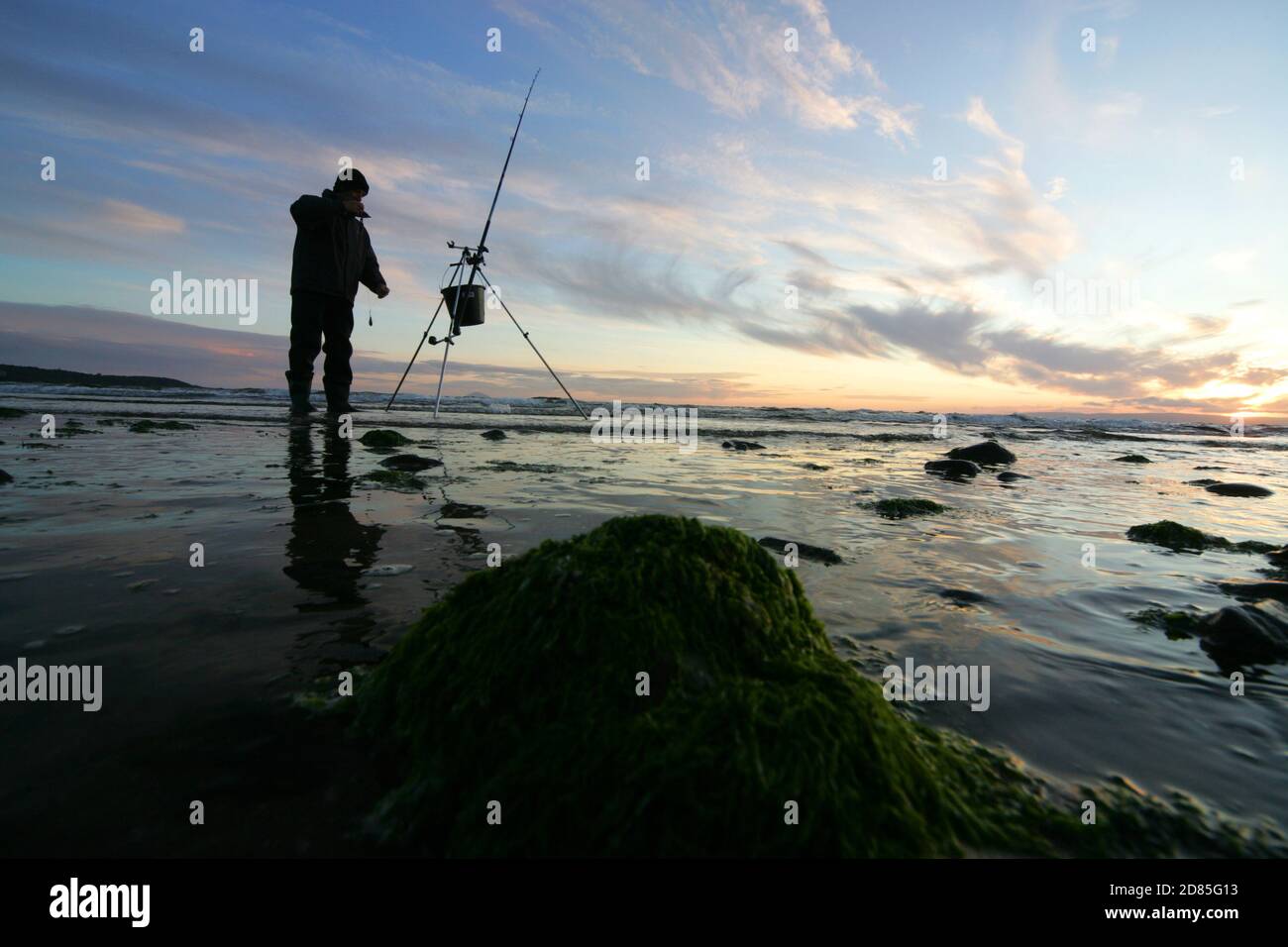 Croy Shore, Croy Bay, Carrick, Ayrshire, Scotland, UK.As the sunset over the Firth of Clyde on the West Coast of Scotland a fisherman sets his rod and line up for an evening of sea fishing. July 2012 Stock Photo