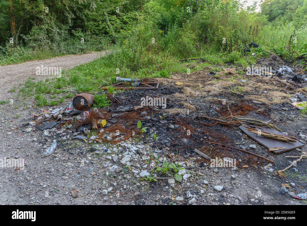 garbage dump in the wild, World Environment Day Concept Stock Photo - Alamy