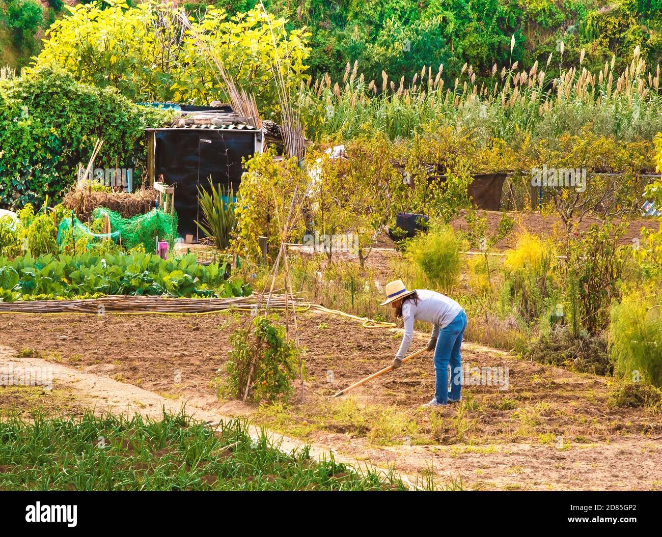 Tilling land hires stock photography and images Alamy