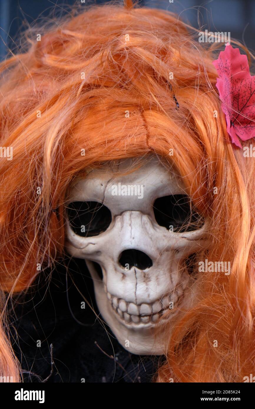 Close-up of a plastic skull wearing an orange wig. Stock Photo