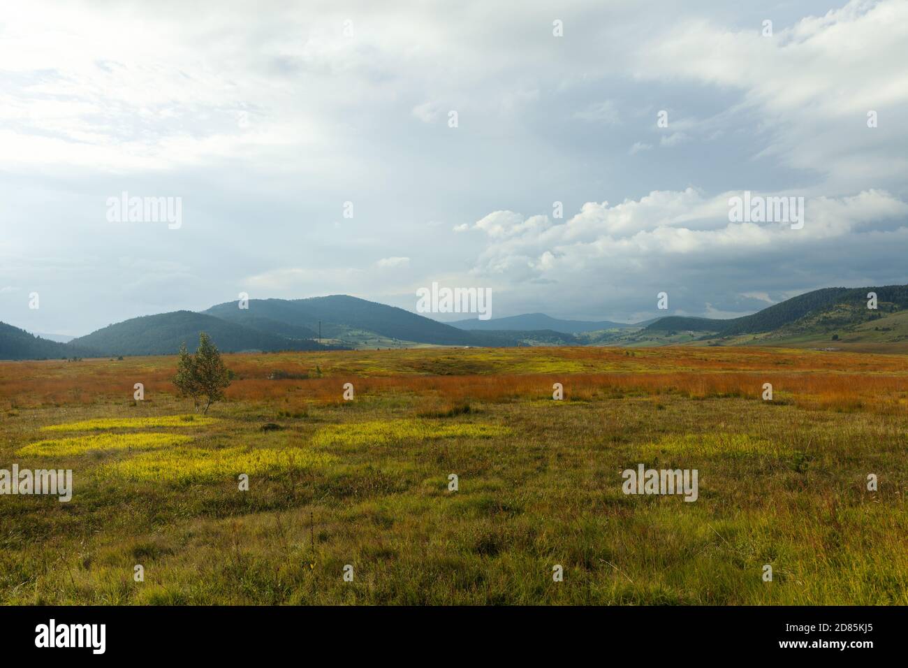 autumn mountain landscape , Zabljak, Montenegro Stock Photo