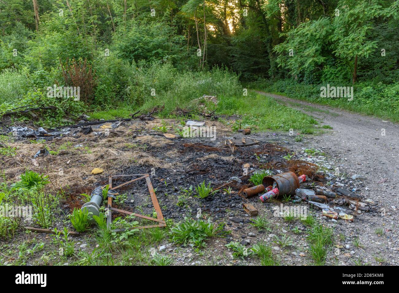 garbage dump in the wild, World Environment Day Concept Stock Photo - Alamy