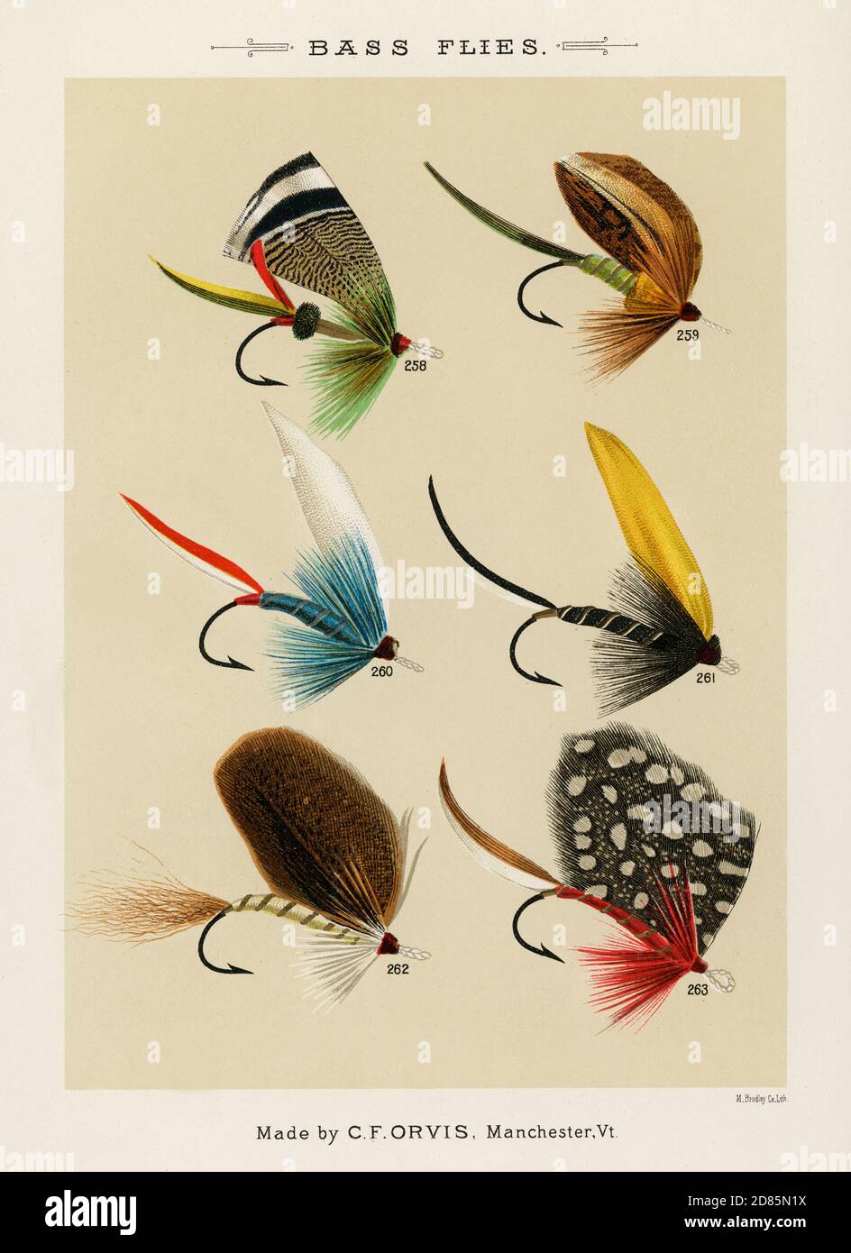 Classic Trout & Bass Flies Chart Vintage Fishing . Vintage 8x10 Photo  Print