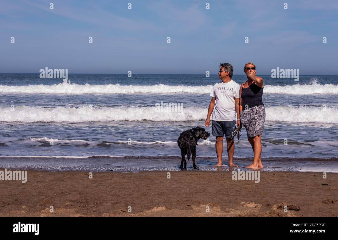 Couple walking dog on beach, Whitby, England, UK Stock Photo