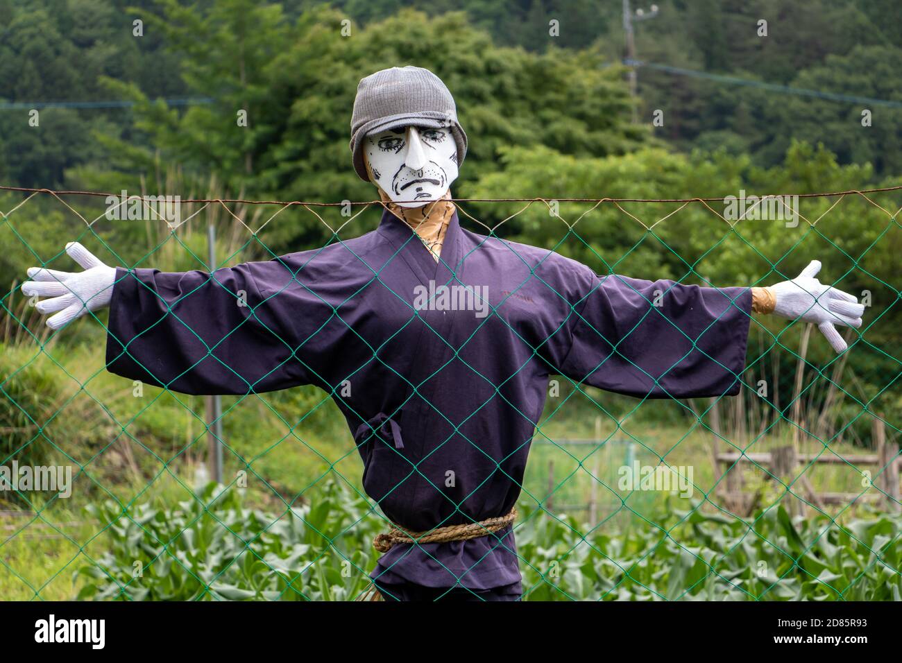 A figurine in the field looking over fence to camera. Scarecrow with white facial mask stand in garden, Japan. Stock Photo