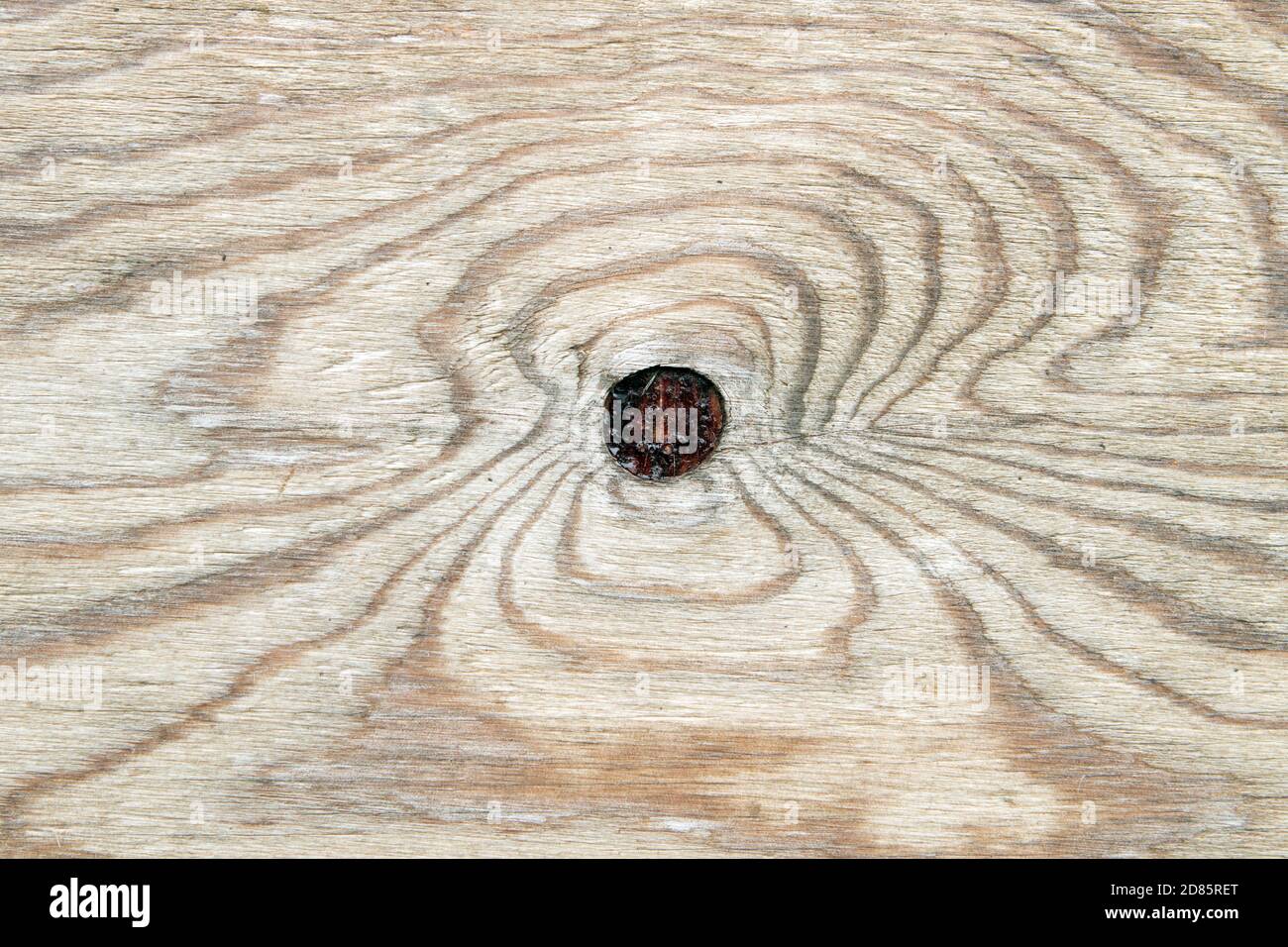 Knots in wood on a textured wooden surface Stock Photo Alamy