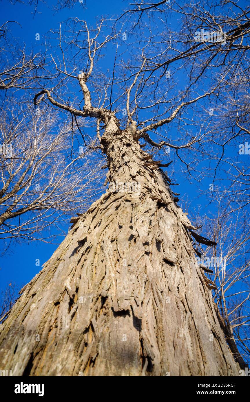 Long Point State Park Stock Photo Alamy