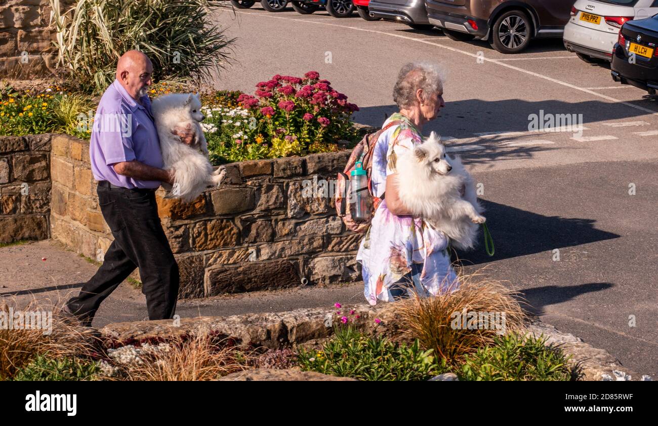Senior couple carrying pet dogs, Whitby, England, UK Stock Photo