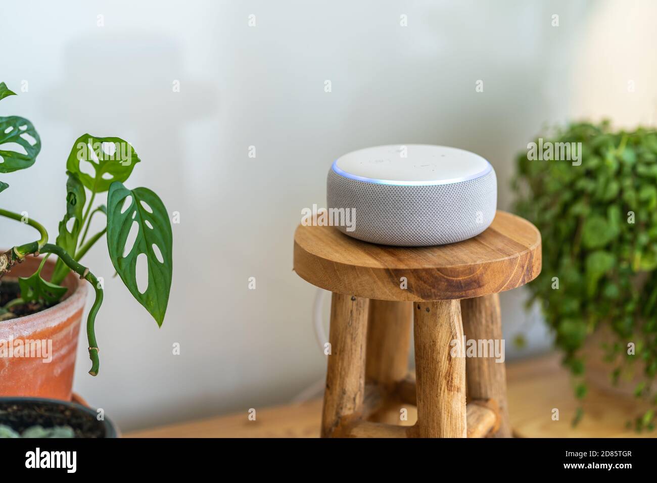 VIENNA,AUSTRIA - October 26 : A white Amazon Alexa Echo on a wooden  cupboard with green plants in the background Stock Photo - Alamy