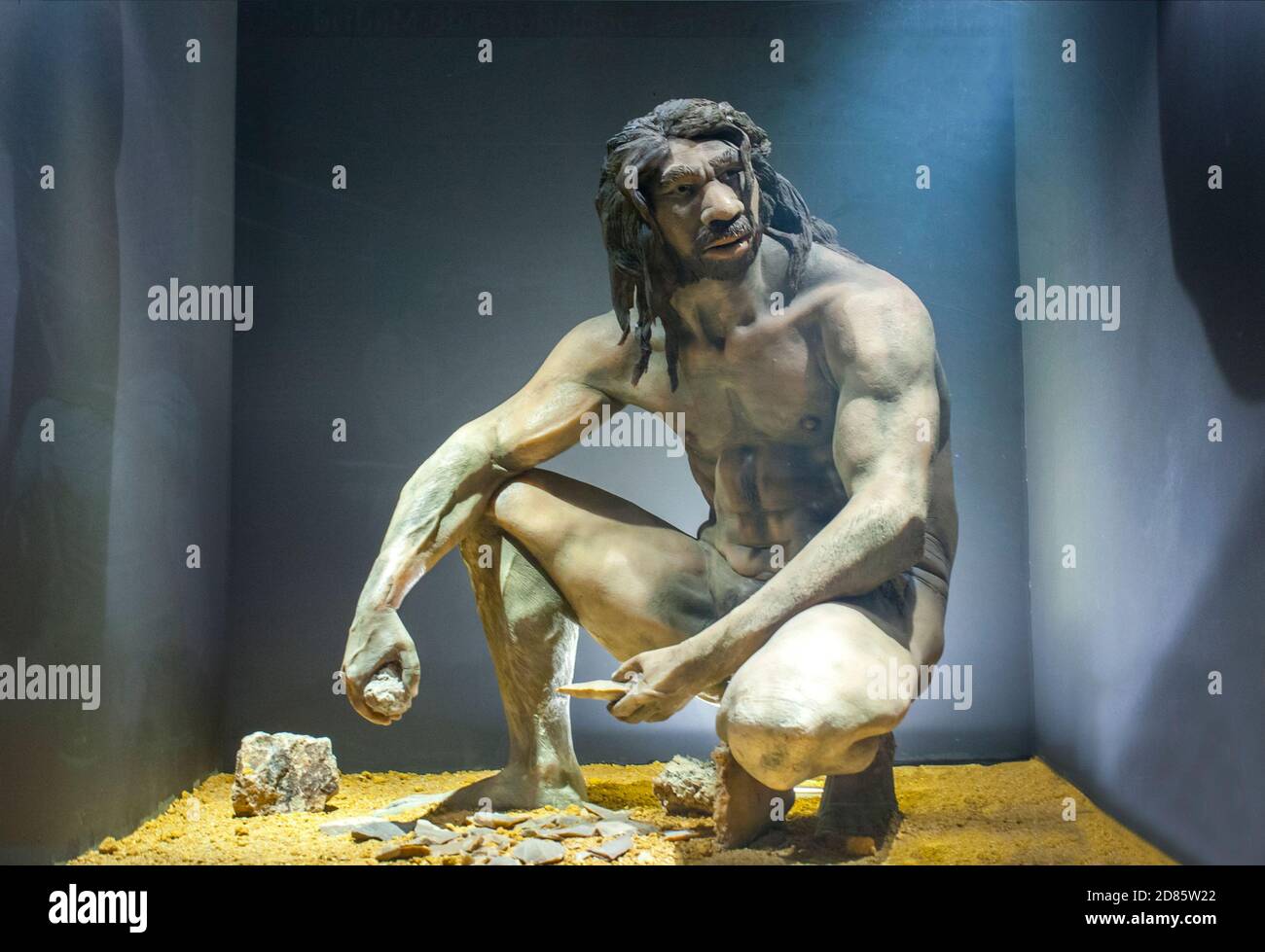 Life-sized sculpture of Homo heidelbergensis. He is fashioning stone their natural state into tool Stock Photo