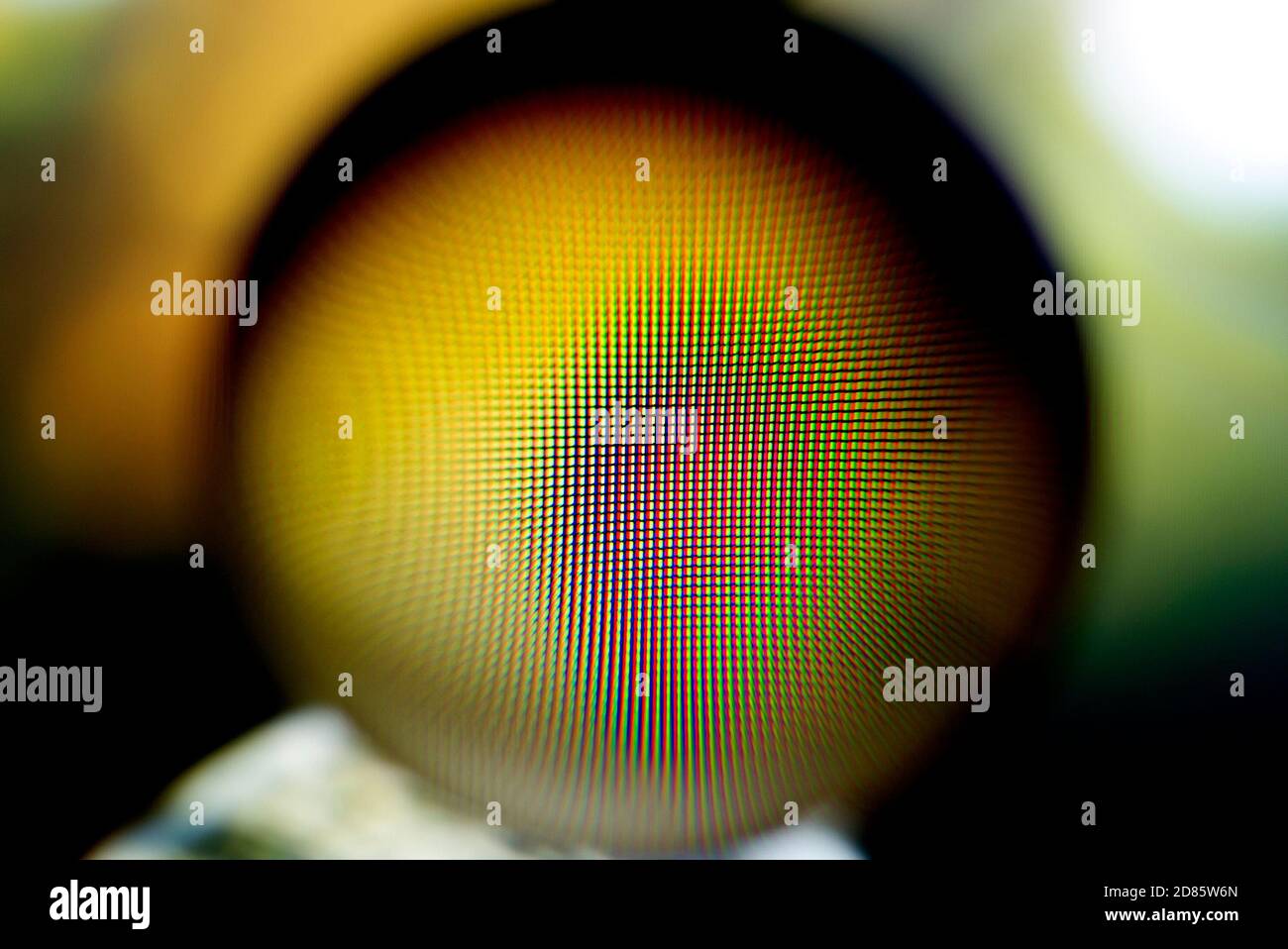 A real photo of an abstract blurry object Stock Photo Alamy