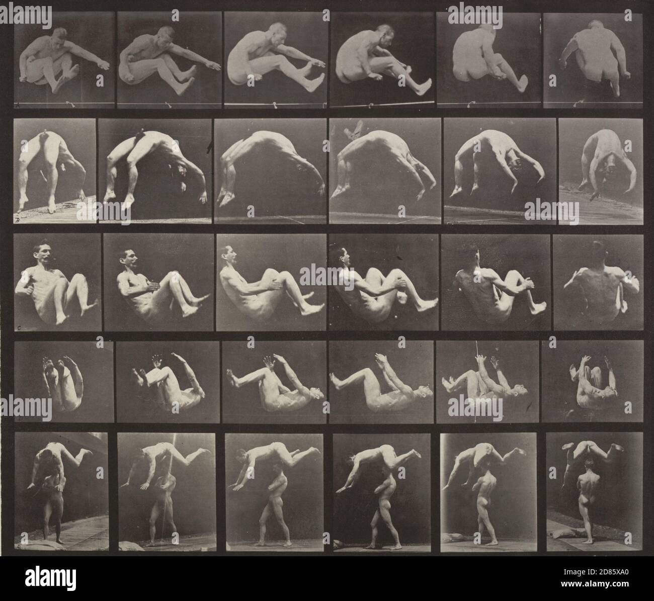 Vintage photo Eadweard J. Muybridge – Jumping; Handspring; Somersault; Springing over a Man's Back: Plate 522 from Animal Locomotion (1887) 1884-86 Stock Photo