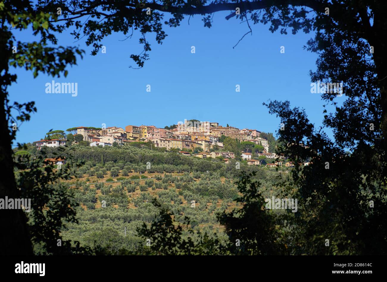 Tourists and local people enjoy the wineyards, olive trees, restaurants