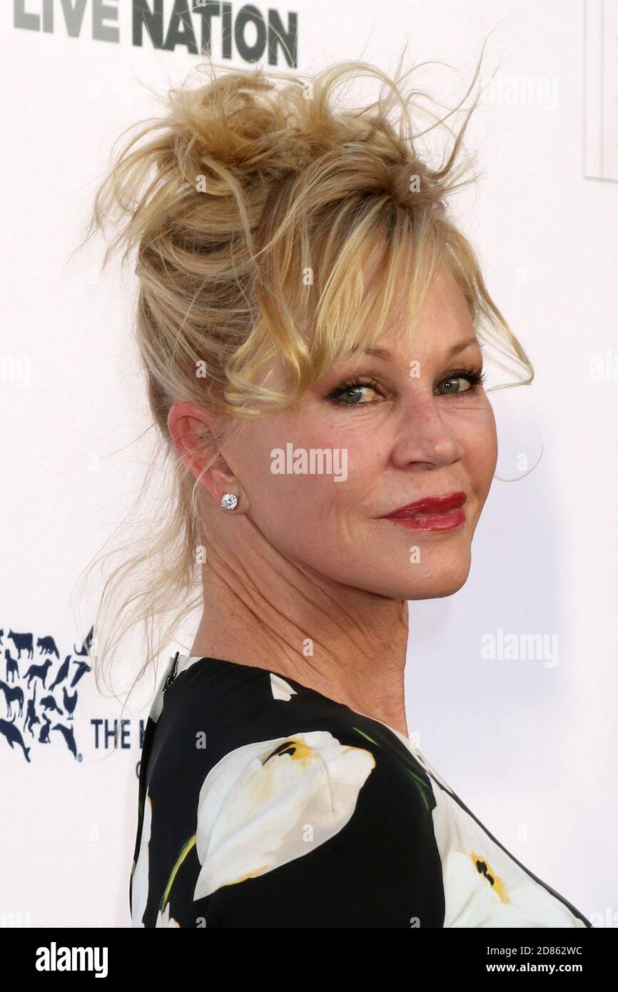 LOS ANGELES - APR 22:  Melanie Griffith at the 2017 The Humane Society Gala at Parmount Studios on April 22, 2017 in Los Angeles, CA Stock Photo
